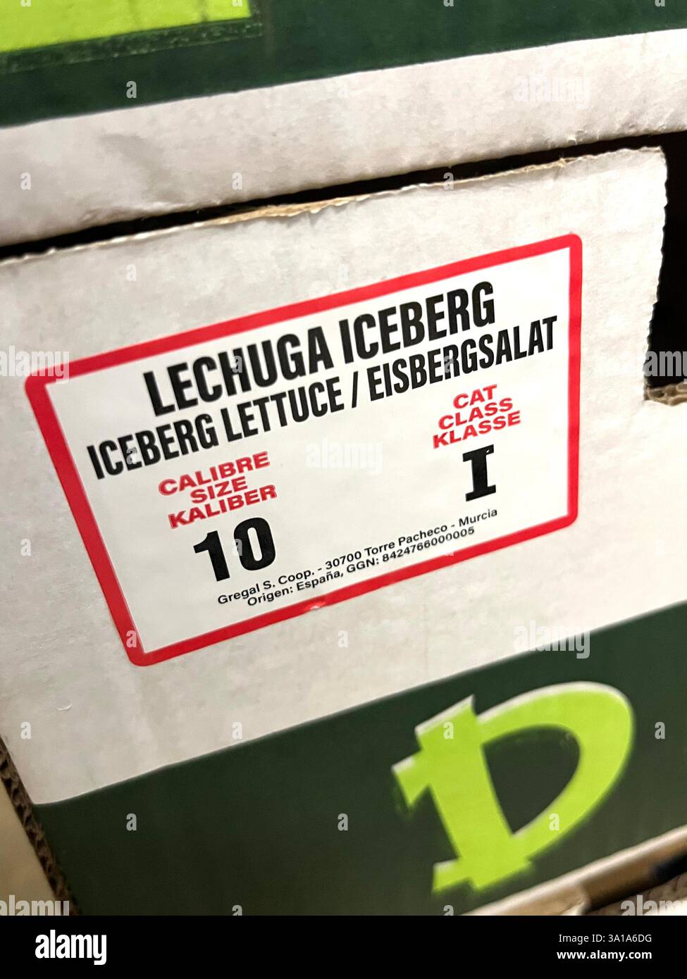 Lattuga iceberg, spagnola, verdure, magazzino, magazzinaggio, cassa, agricoltura, approvvigionamento alimentare, logistica, stoccaggio di verdure, distribuzione, catena di approvvigionamento - Immagine stock catturata con smartphone