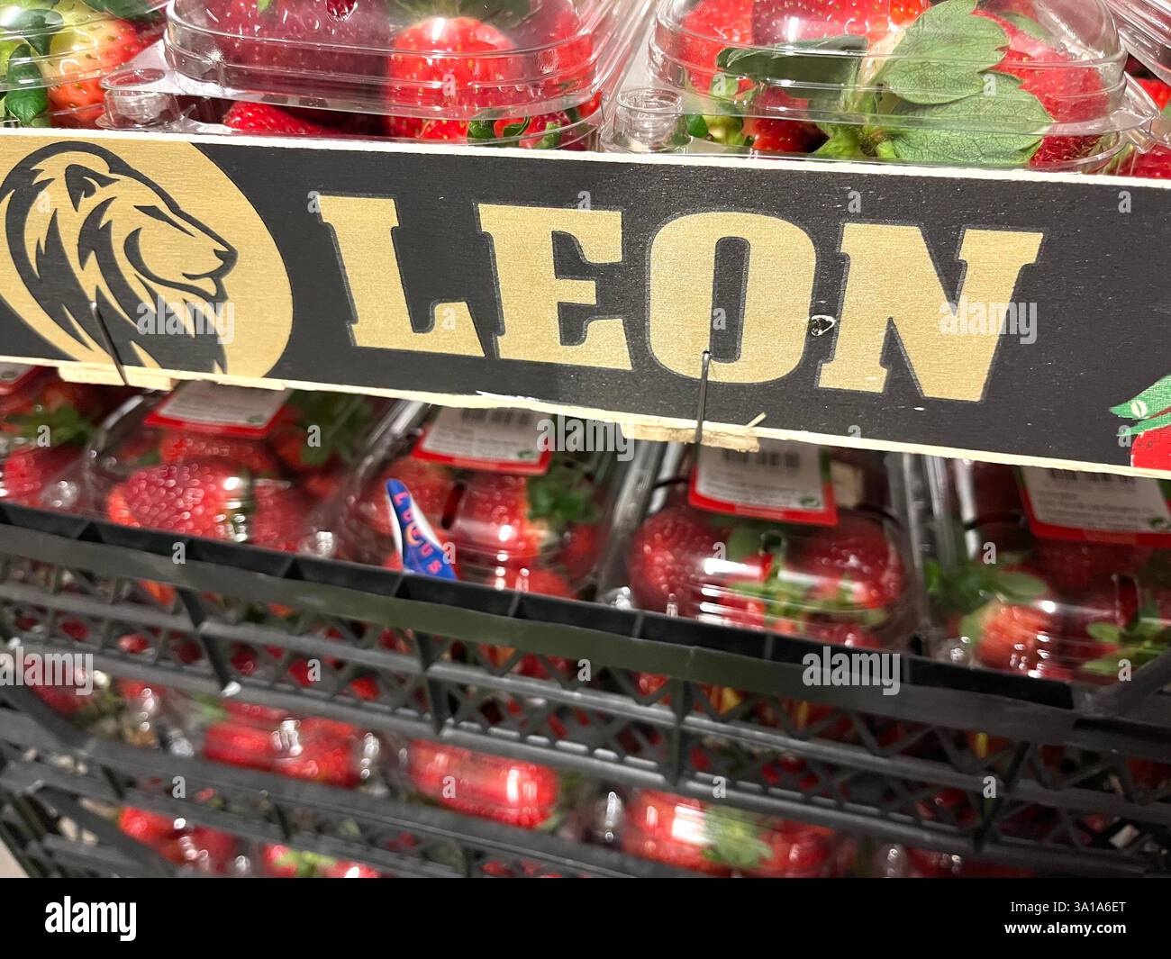 Fragole, LEON, frutta, magazzino, stoccaggio, cassa di plastica, fornitura, approvvigionamento alimentare, logistica, stoccaggio, distribuzione, catena di approvvigionamento, bacche - Immagine stock catturata con smartphone