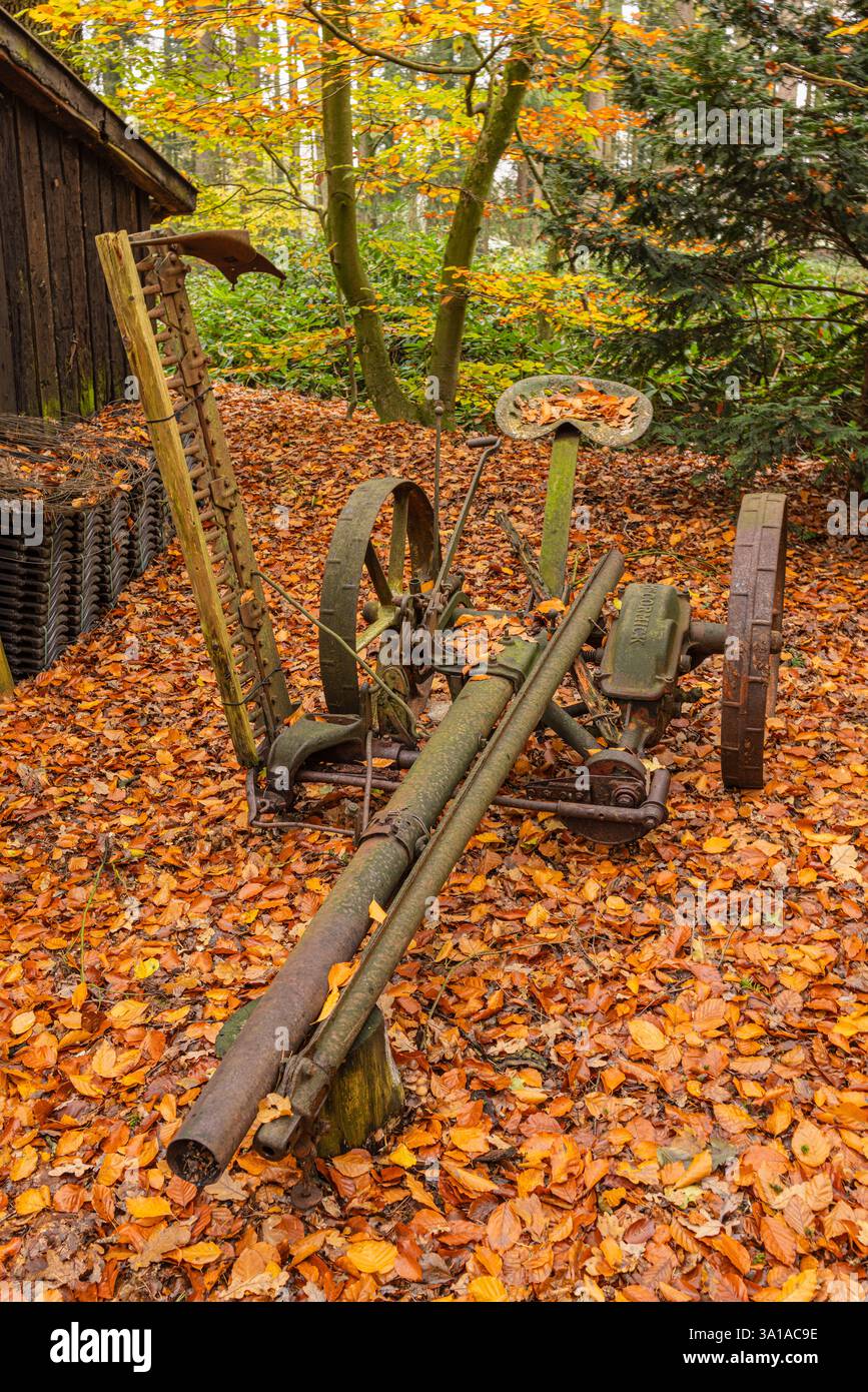 Falciatrice antica con guida a cavallo Foto Stock