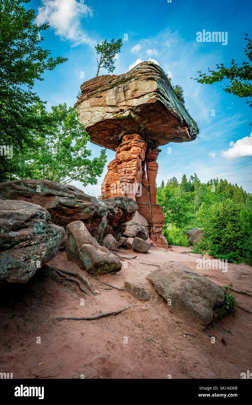 Teufelstisch vicino a Hinterweidenthal nel Wasgau, Pfälzer Bergland, meraviglia naturale fatta di arenaria rossa, formata dall'erosione, lato sud Foto Stock
