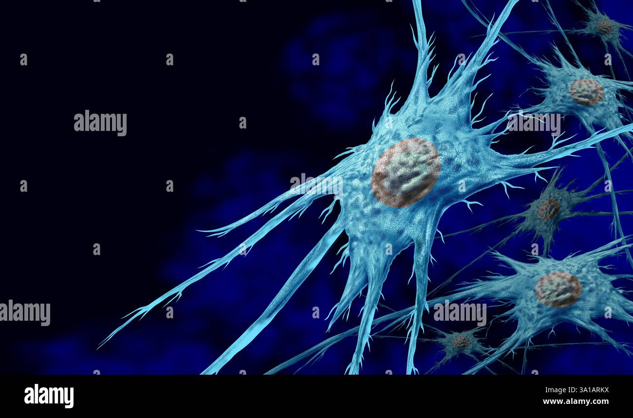 Anatomia cellulare dei fibroblasti come struttura e componenti dei fibroblasti come cellule che producono collagene e mantengono il tessuto connettivo correlato al celull Foto Stock