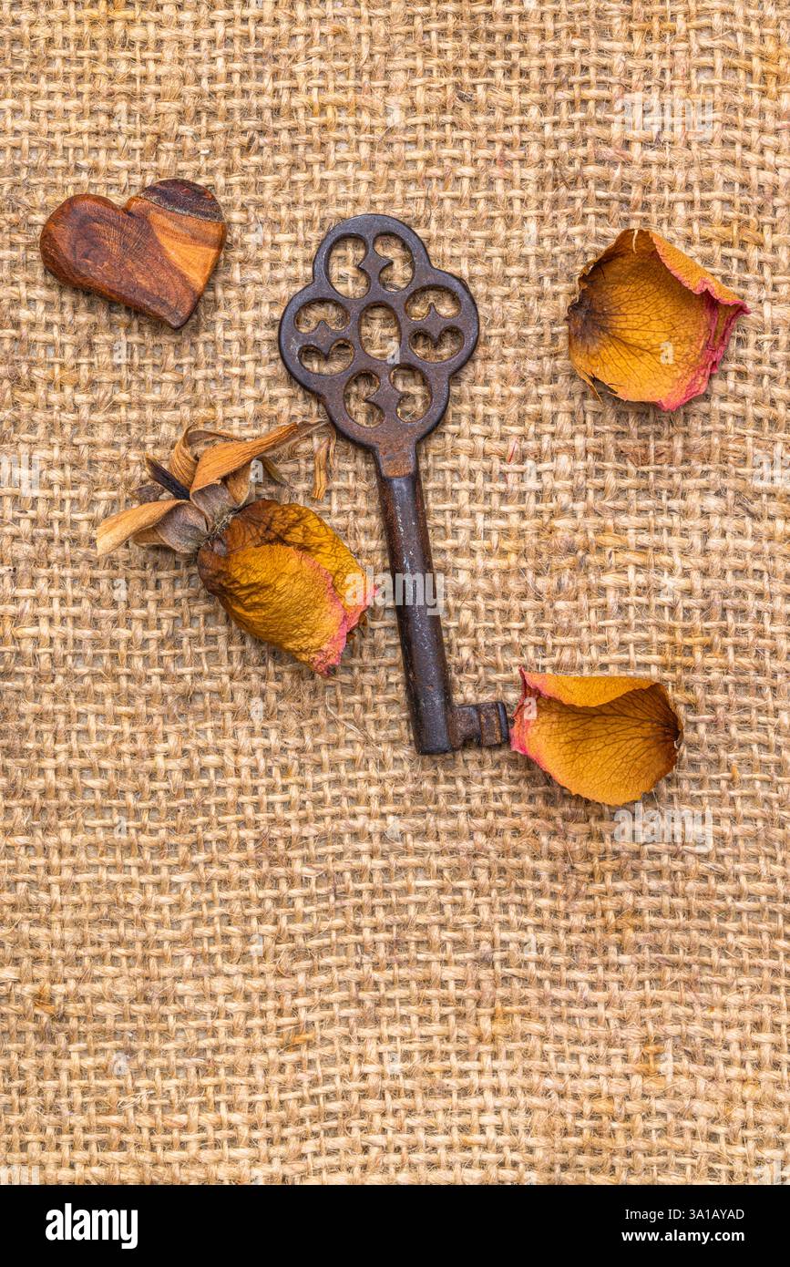 vecchia chiave con cuore decorativo e rosa selvaggia, natura morta Foto Stock