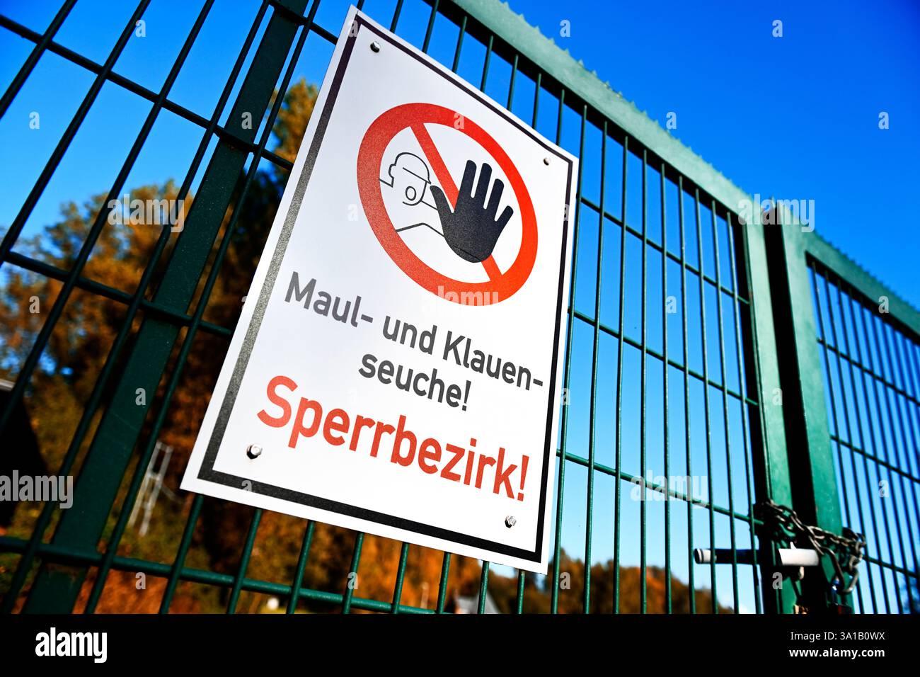 Fotomontaggio, firmare con le parole area soggetta a restrizioni per l'afta epizootica Foto Stock