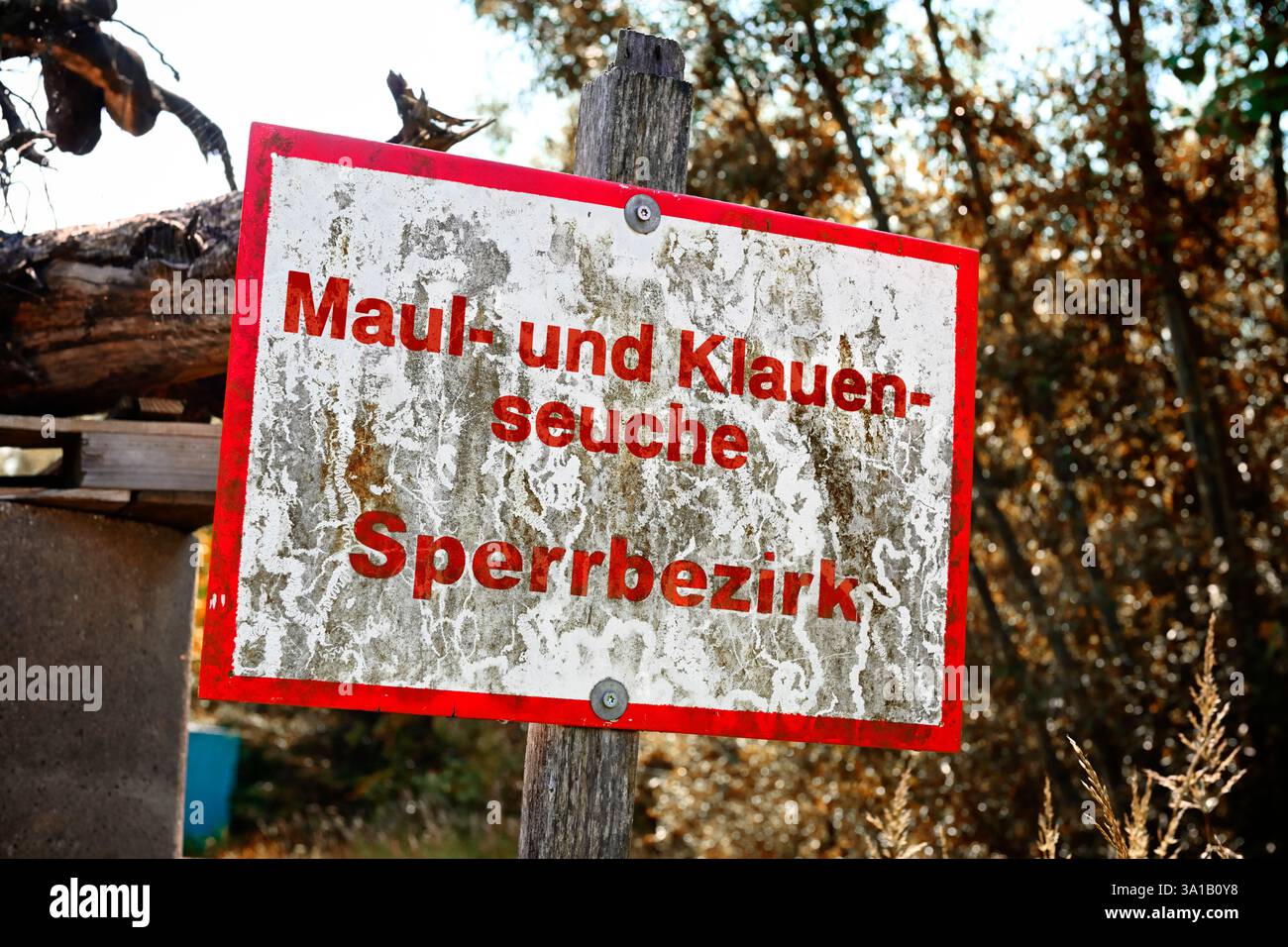Fotomontaggio, firmare con le parole area soggetta a restrizioni per l'afta epizootica Foto Stock
