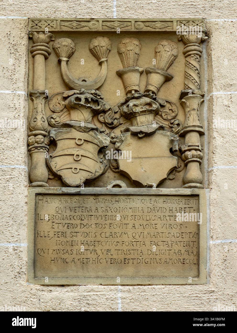 Tübingen - Bühl, il castello di Bühl fu costruito a metà del XVI secolo da David vom Stain, capo della linea Bühl dei signori di Stain. Iscrizioni, questo castello, le mura, il giardino e i fienili furono costruiti da uno che porta l'antico nome di David vom Stain. Colui che diligentemente studiò le arti quando era giovane e ammirava gli uomini colti con vero amore. Lui, che era straordinariamente abile negli studi di Marte selvaggio, porta un nome le cui potenti azioni sono famose. Foto Stock