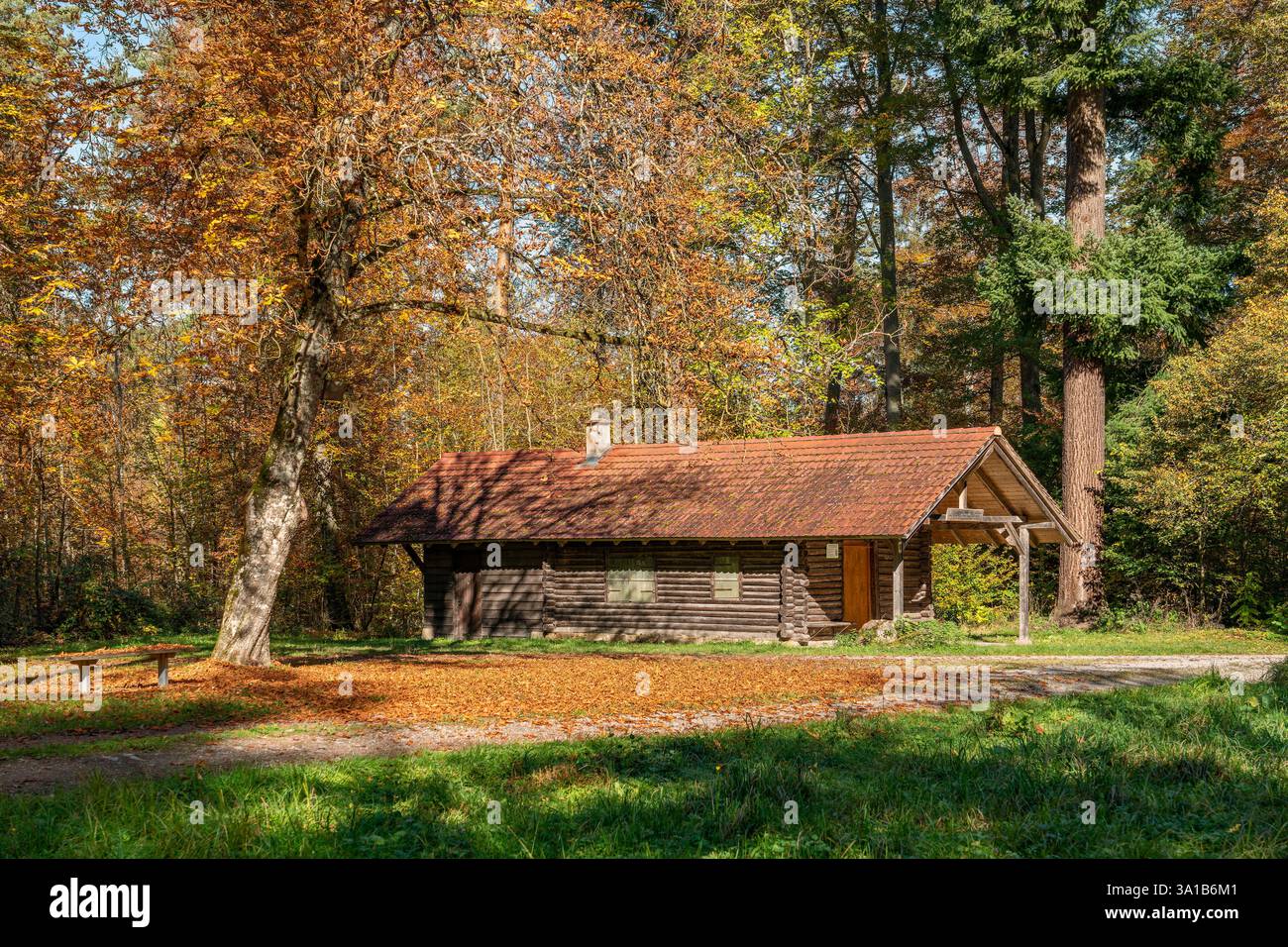 Rottenburg am Neckar, Dünnbachhütte nella zona forestale di Rammert Foto Stock