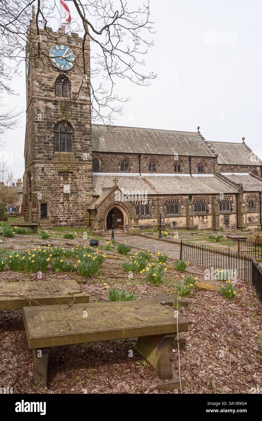 I narcisi crescono nella chiesa di San Michele e di tutti gli angeli e nel cimitero di Haworth Yorkshire Regno Unito Foto Stock