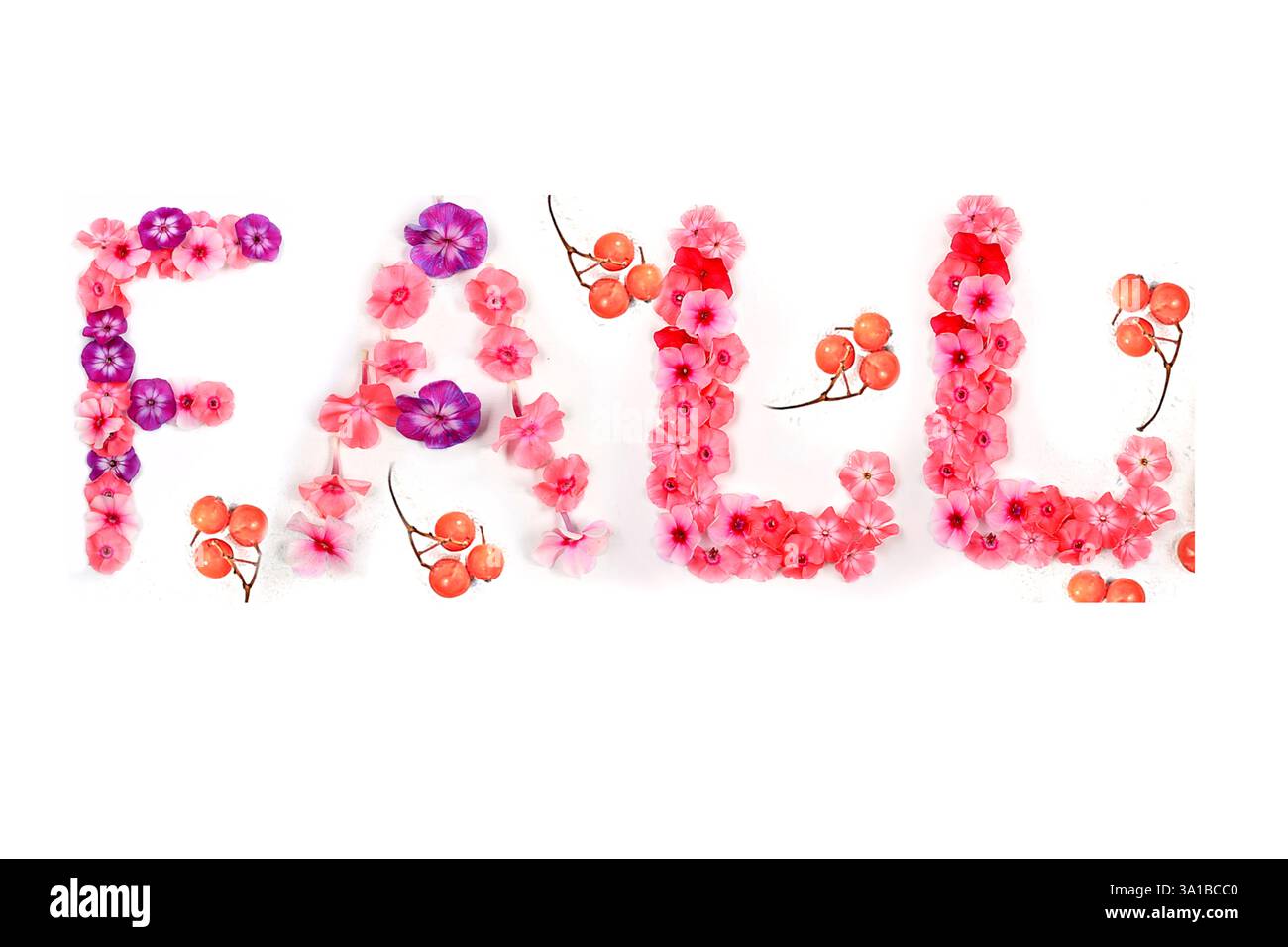 La parola "caduta" è fatta da veri fiori vivi e noci. Font floreali creativi e concetto del giorno del ringraziamento, sfondo stagionale, banner o screensaver, cre Foto Stock