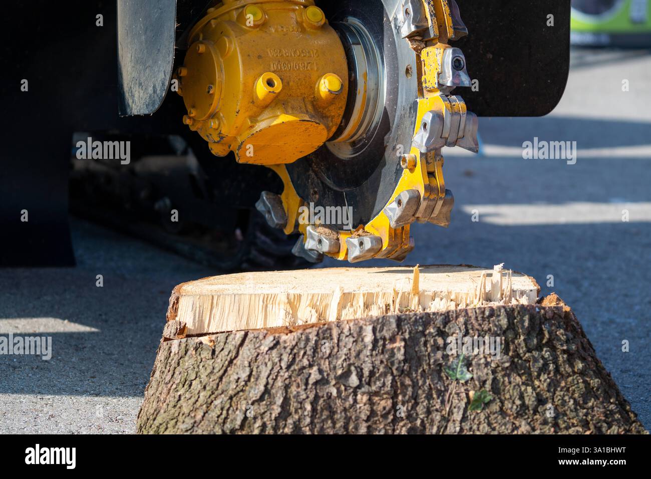 Augusta, Baviera, Germania - 7 marzo 2025: Una potente smerigliatrice per ceppi in uso per la rimozione efficiente dei ceppi di alberi. Alla fiera Afair di Augusta. *** Eine leistungsstarke Baumstumpffräse im Einsatz zur effizienten Entfernung von Baumstümpfen. Auf der Afair-Messe ad Augusta. Foto Stock