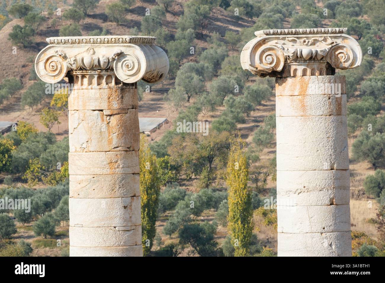 Sardis, Turchia, Turkiye. Tempio di Artemide, capitali romane sulle colonne Foto Stock