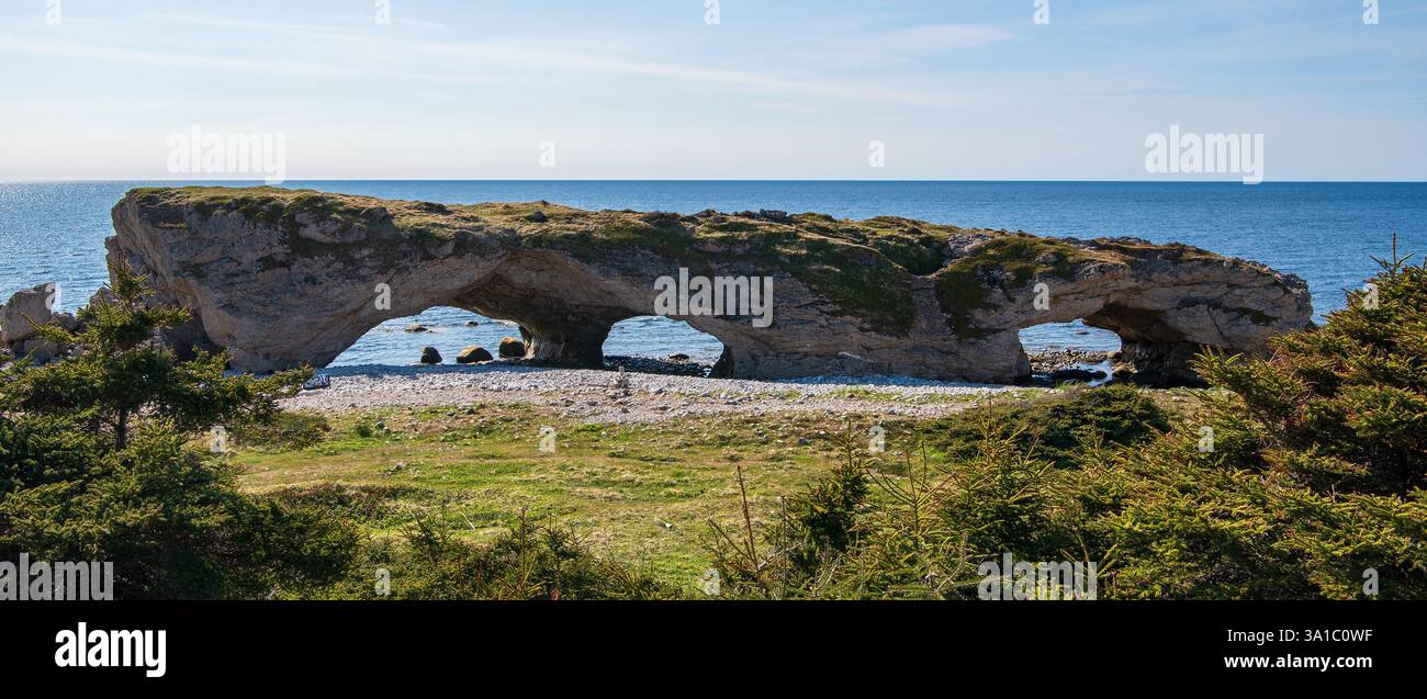 Arches Provincial Park è un parco pubblico sulla costa occidentale di Terranova e Labrador, Canada. Il parco si trova a nord del Gros Morne National Park Foto Stock