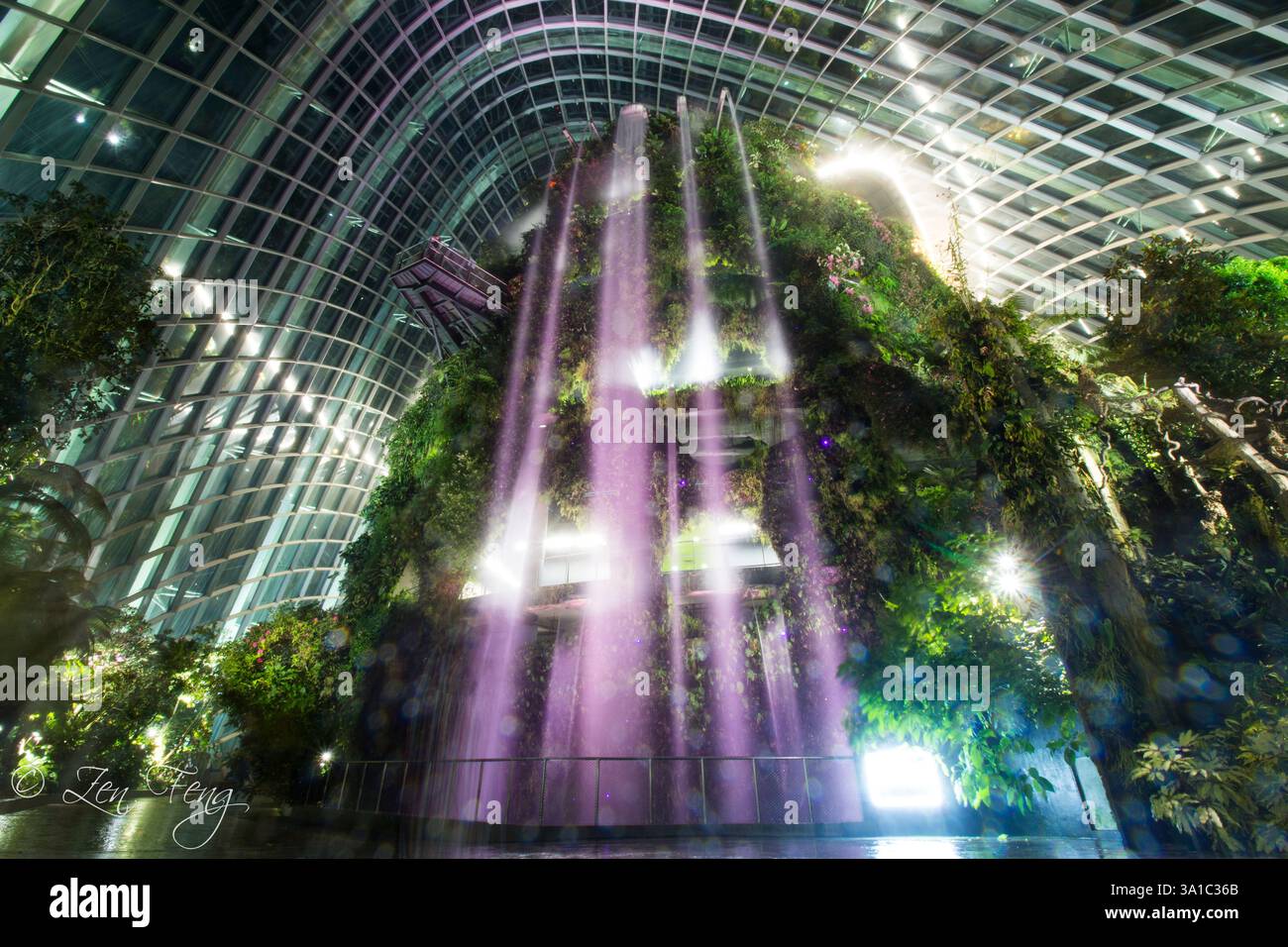 Cloud Forest - la bellezza delle cascate a Slow Mo Foto Stock