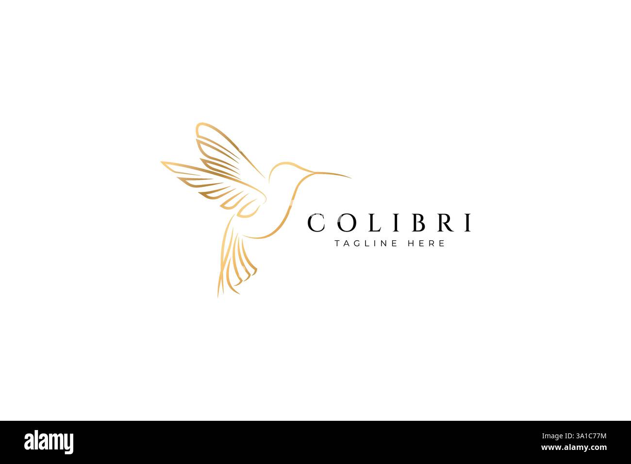 Elegante e moderno logo Hummingbird con elementi geometrici e astratti Illustrazione Vettoriale