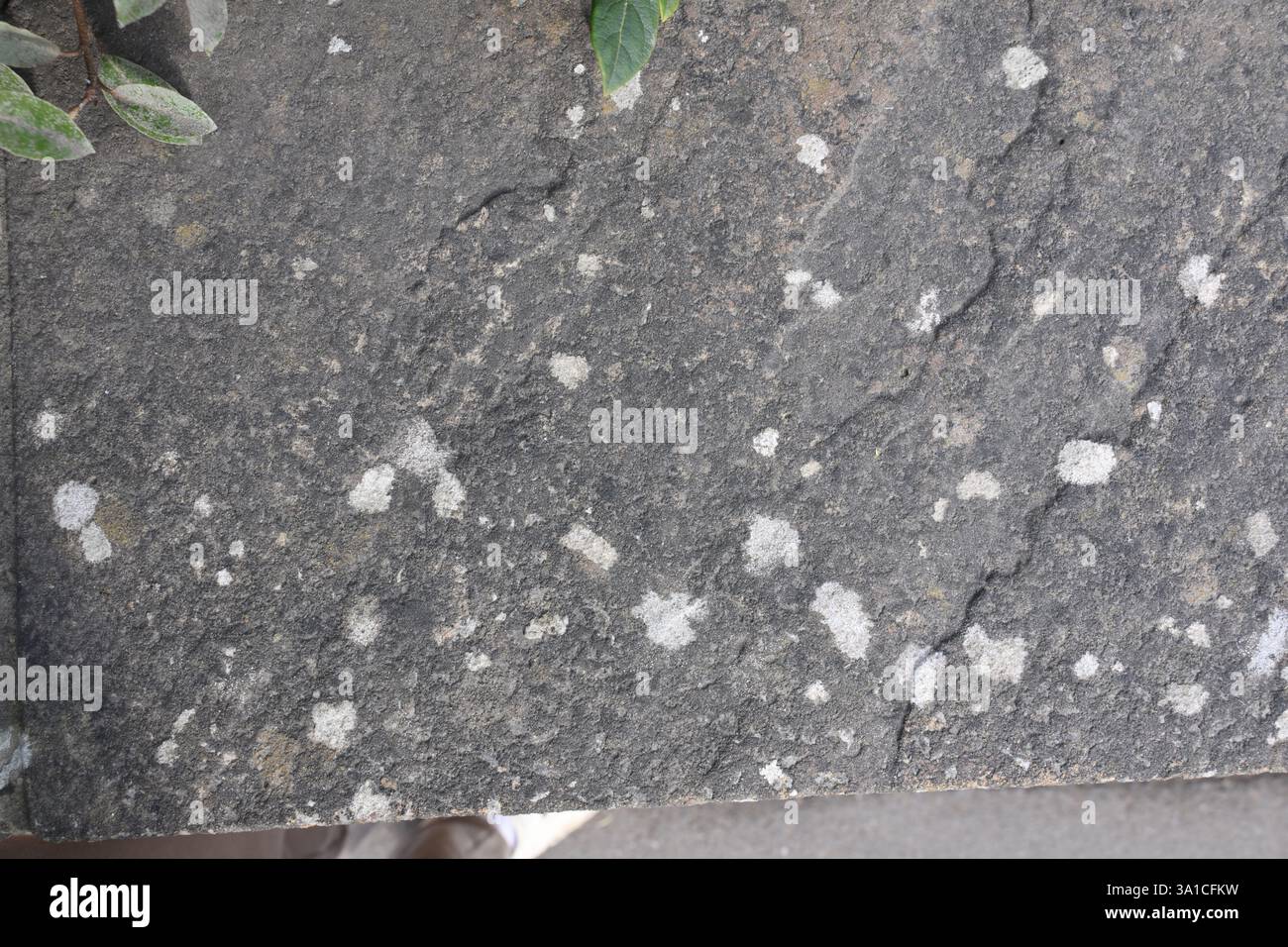 Una lastra di cemento incrinata con alcuni piccoli fori. I fori sono bianchi e il cemento è grigio Foto Stock