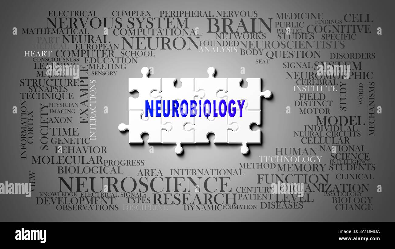 La neurobiologia è un argomento complesso, legato a importanti argomenti che si diffondono come una nuvola di parole. Foto Stock