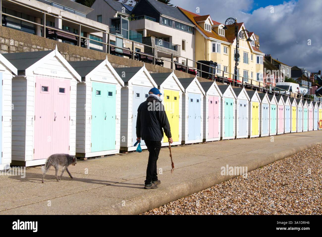 Uomo che cammina con un cane accanto alle capanne color pastello sul lungomare di Lyme regis, Dorset, Regno Unito Foto Stock