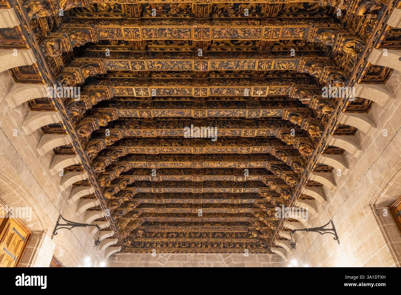Valencia, Spagna - 25 febbraio 2025: La Lonja de la Seda con soffitto ornato con dettagliate intagli in legno e motivi elaborati. Foto Stock