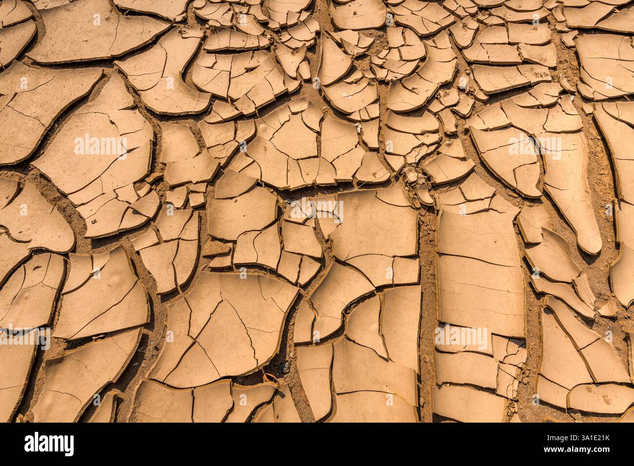 Vista dettagliata della struttura della piastra incrinata di un letto di fiume asciutto Foto Stock
