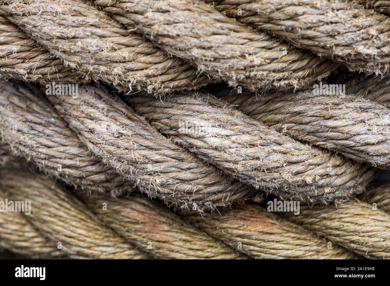 Primo piano di corde intrecciate disposte in parallelo, utilizzate per fissare le imbarcazioni alla riva. Le fibre testurizzate creano un motivo nautico strutturato Foto Stock