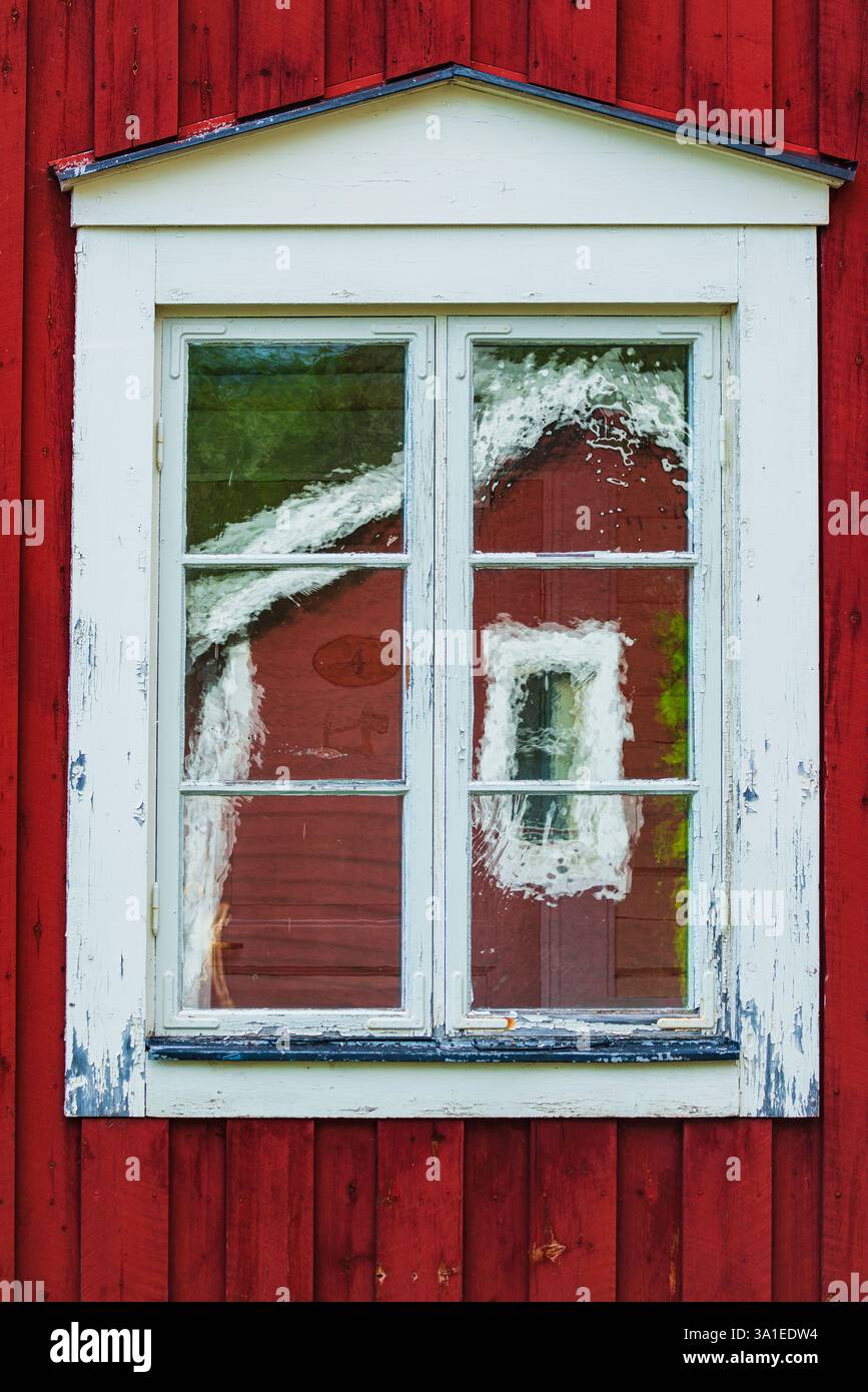 Un'affascinante finestra in legno presenta vernice bianca sbucciante e riflette la vibrante vegetazione che circonda un edificio rosso in Svezia, che mostra una bellezza rustica Foto Stock