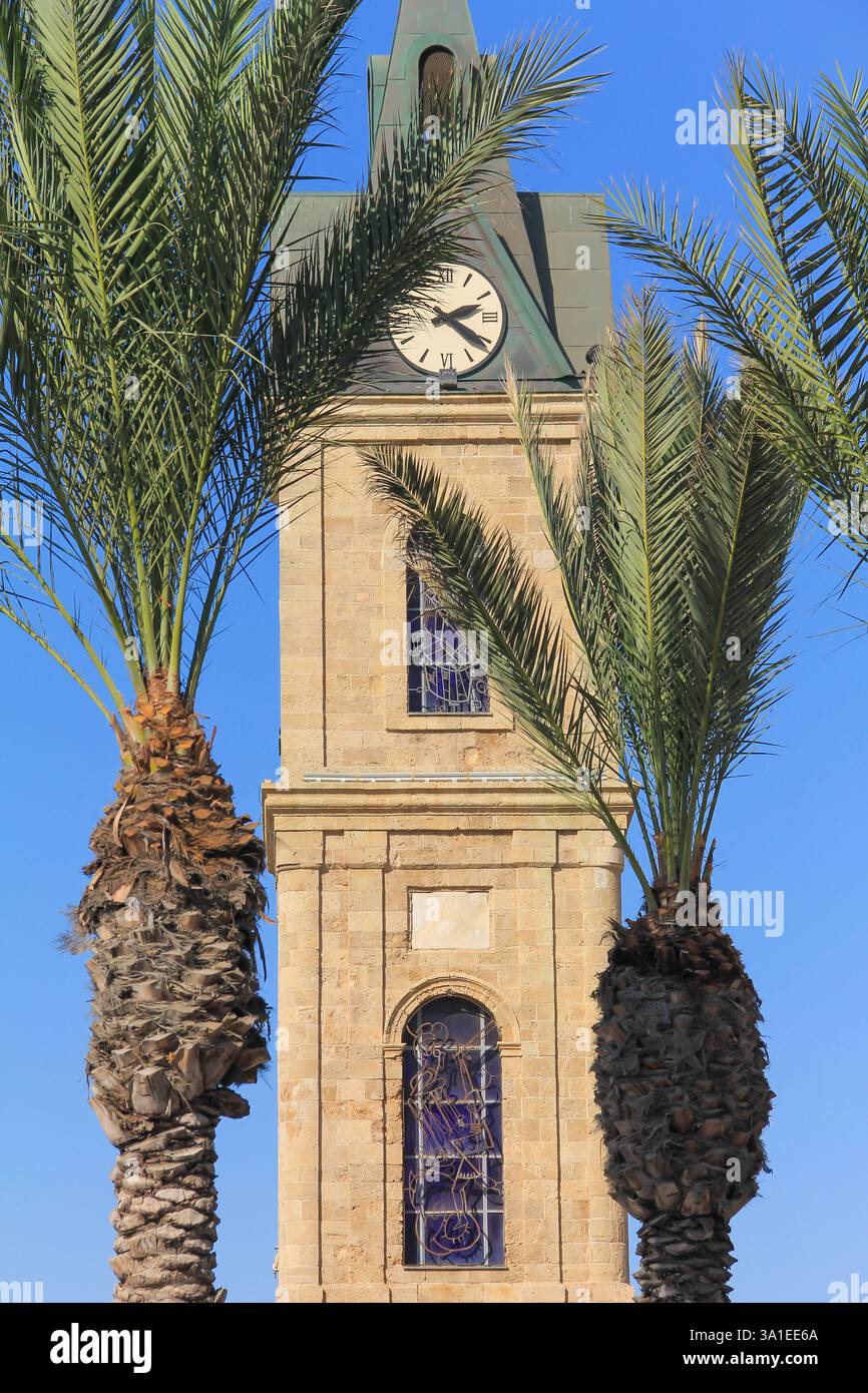 Una storica torre dell'orologio in pietra catturata contro un vivace cielo blu, incorniciata elegantemente da palme tropicali. L'architettura e il verde naturale creat Foto Stock