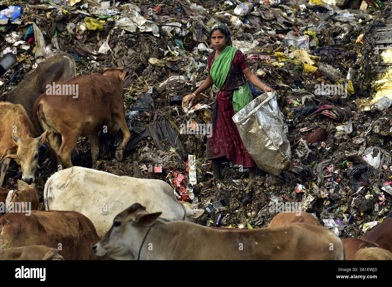 Guwahati, Guwahati, India. 8 marzo 2025. Una donna raccoglitrice di rifiuti raccoglie il materiale di scarto da una discarica di rifiuti durante la giornata mondiale della donna a Guwahati in India sabato 8 marzo 2025. Foto-DASARATH DEKA (Credit Image: © Dasarath Deka/ZUMA Press Wire) SOLO PER USO EDITORIALE! Non per USO commerciale! Foto Stock