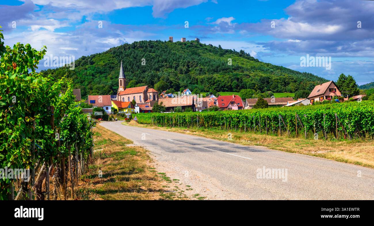 Regione francese dell'Alsazia - famosa "strada del vino" e destinazioni turistiche popolari. Splendidi vigneti e villaggio tradizionale Husseren les chateaux Foto Stock