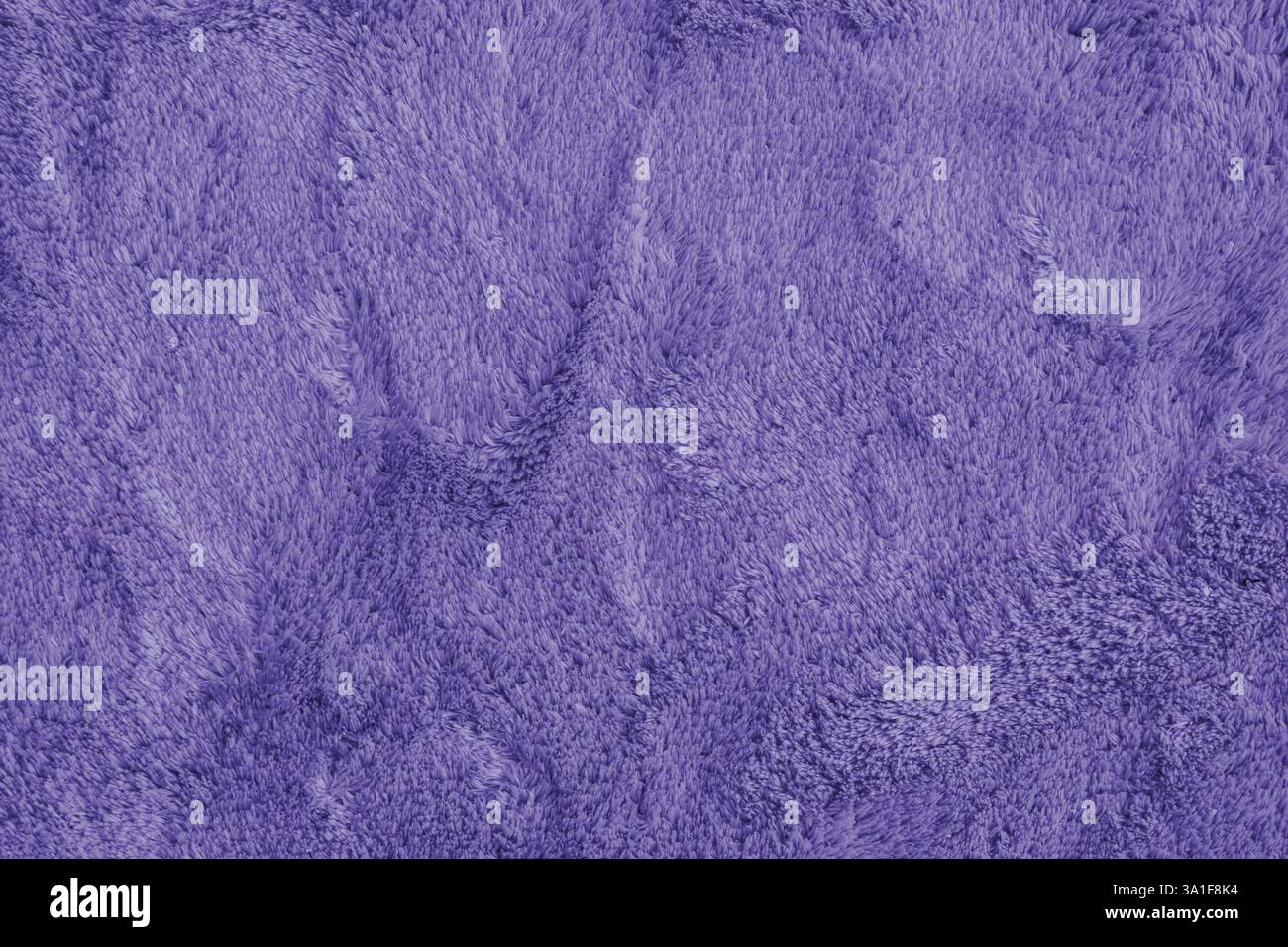 Morbida moquette viola. Morbida pelliccia tessile sintetica, tessuto morbido, sfondo in tessuto coperta. Sfondo, sfondo, tinta unita Foto Stock
