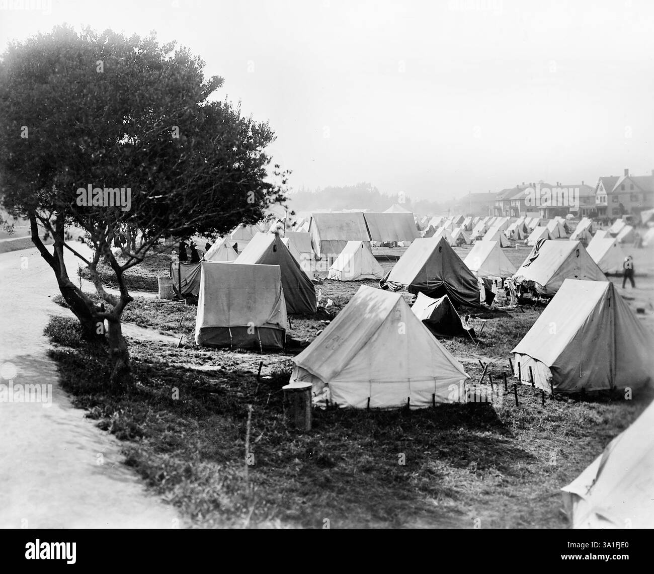 Tende per rifugiati allestite dopo il terremoto, area adiacente e a sud del Letterman General Hospital, Presidio, San Francisco, California, USA, U.S. Army Signal Corps, aprile 1906 Foto Stock