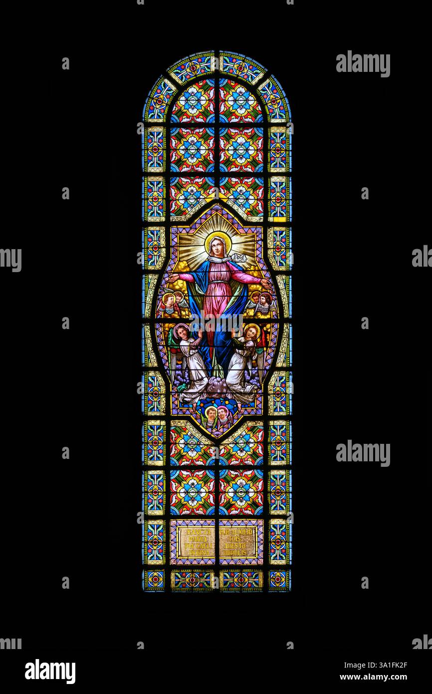 Assunzione della Vergine Maria. La Chiesa dell'assunzione della Vergine Maria – nota anche come Chiesa "Blumental" – a Bratislava, Slovacchia. Foto Stock