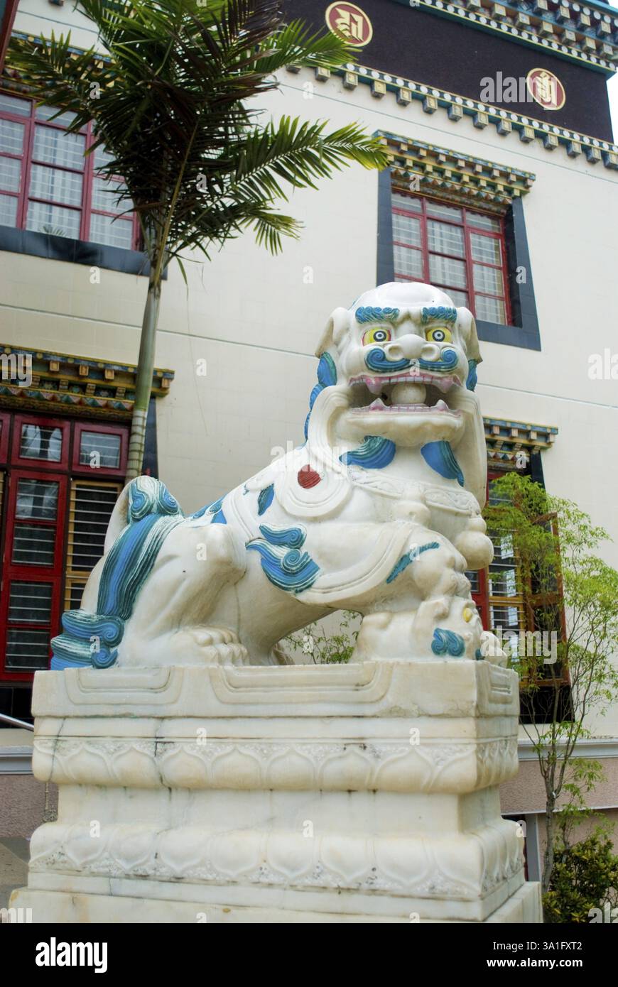 Simbolo nazionale del leone neve della statua in marmo tibetano presso il monastero Namdroling, il centro buddista Palyul Nyingmapa, Byalakuppe, Mysore Foto Stock