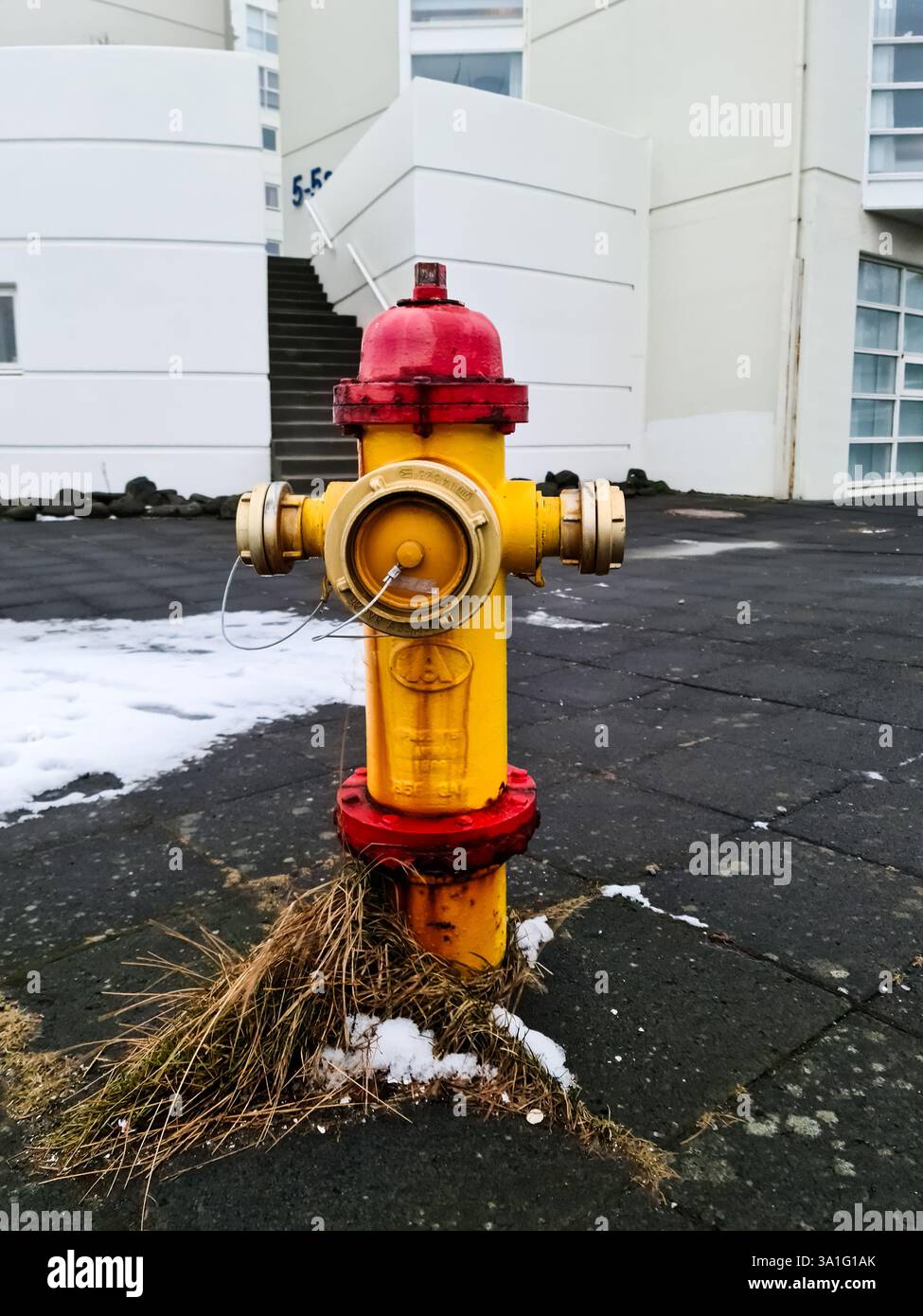 Reykjavik, Islanda - 05. Marzo 2025: Idrante rosso e giallo in piedi su un marciapiede piastrellato di fronte a un edificio bianco a Reykjavik, Islanda Foto Stock