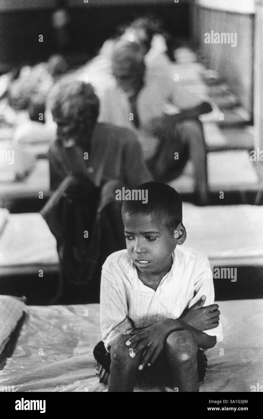Missionari della Carità madre Teresa a Nirmal Hariday, Kalighat, Calcutta NO MR Foto Stock