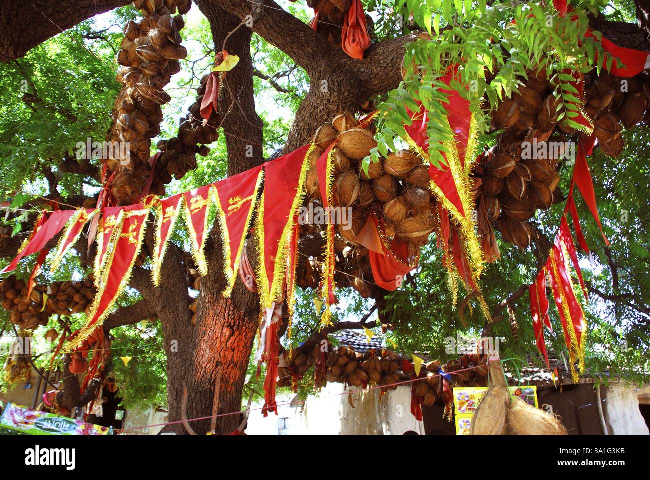 Reshamiya, Gujarat, India, Asia Foto Stock Reshamiya, Gujarat, India, Asia Foto Stock