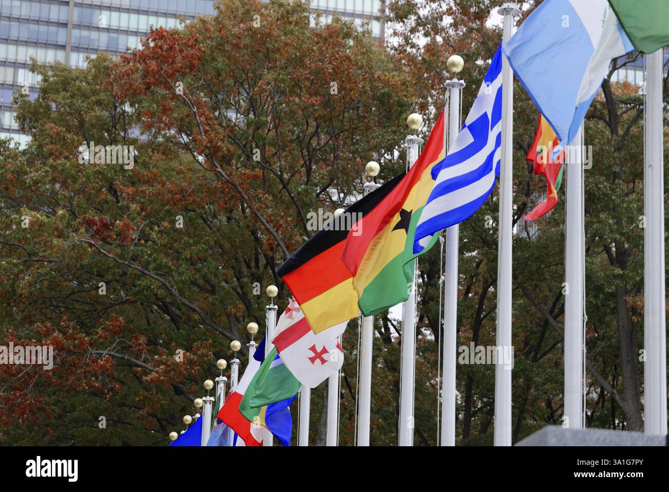 Sede delle Nazioni Unite, East River, Manhattan, una via delle bandiere degli stati membri delle Nazioni Unite vicino a una strada, New York City, New York, USA, Foto Stock