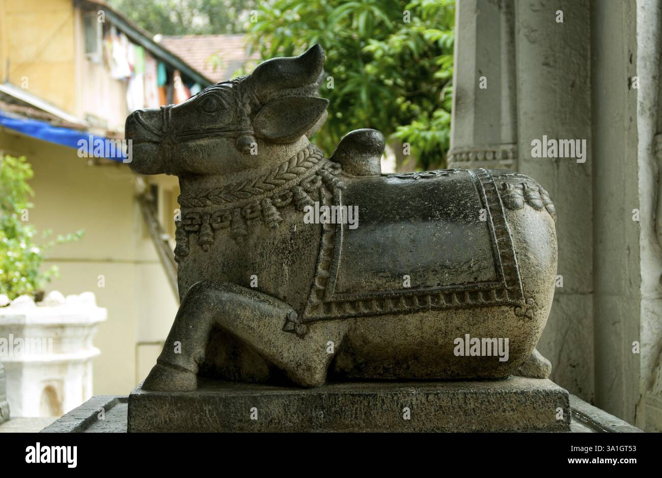 Nandi all'ingresso di un tempio a banganga Tank, Walkeshwar, Bombay ora Mumbai, Maharashtra, India, Asia Foto Stock