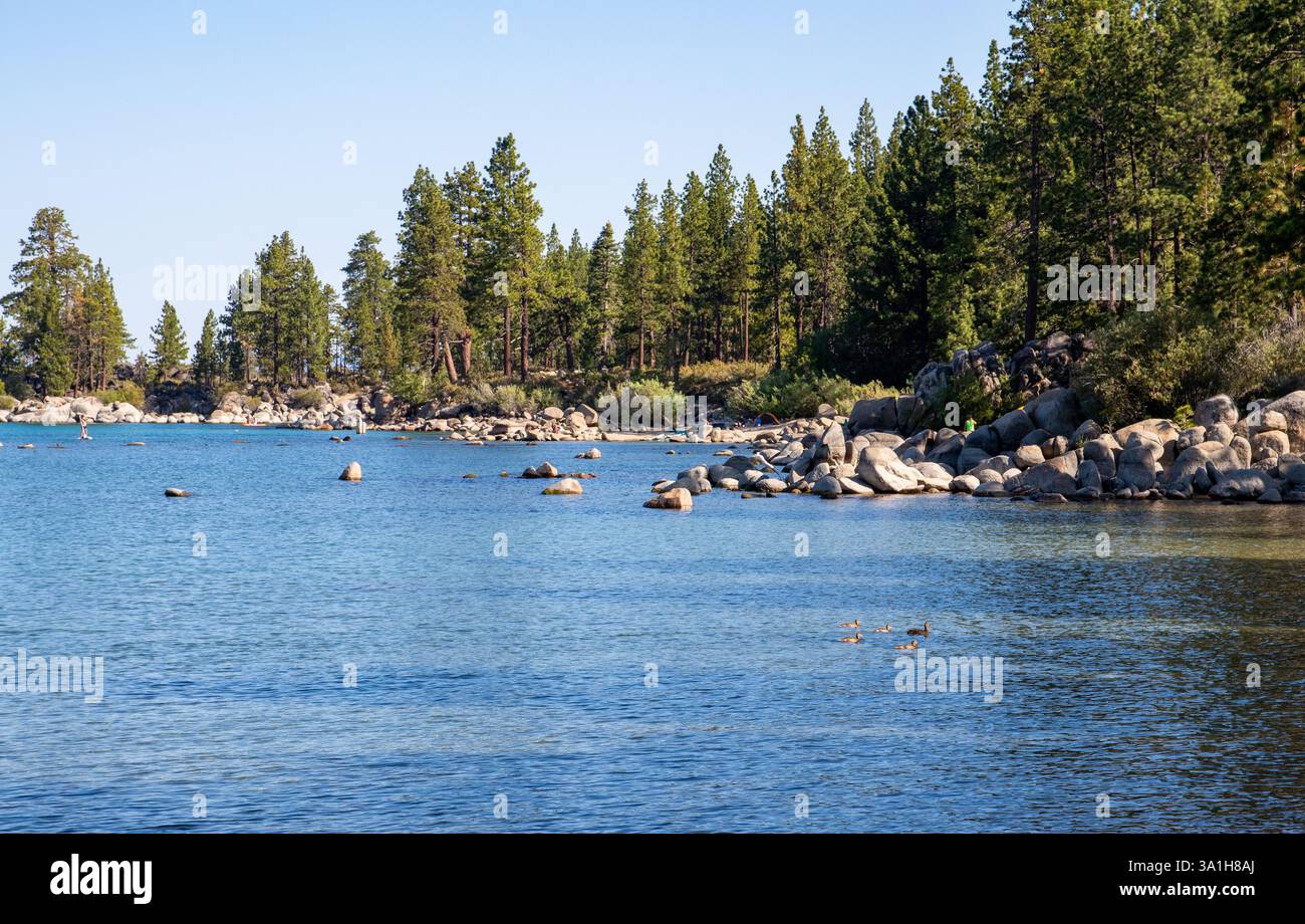 Bella mattinata a Zephyr Cove nel lago Tahoe, California Foto Stock
