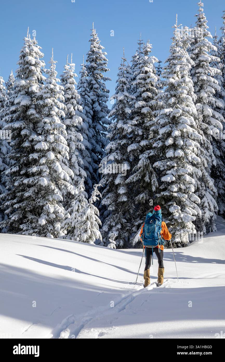 WA28176-00...WASHINGTON - neve fresca lungo il percorso del Tenth Mountain Division Memorial. Foto Stock