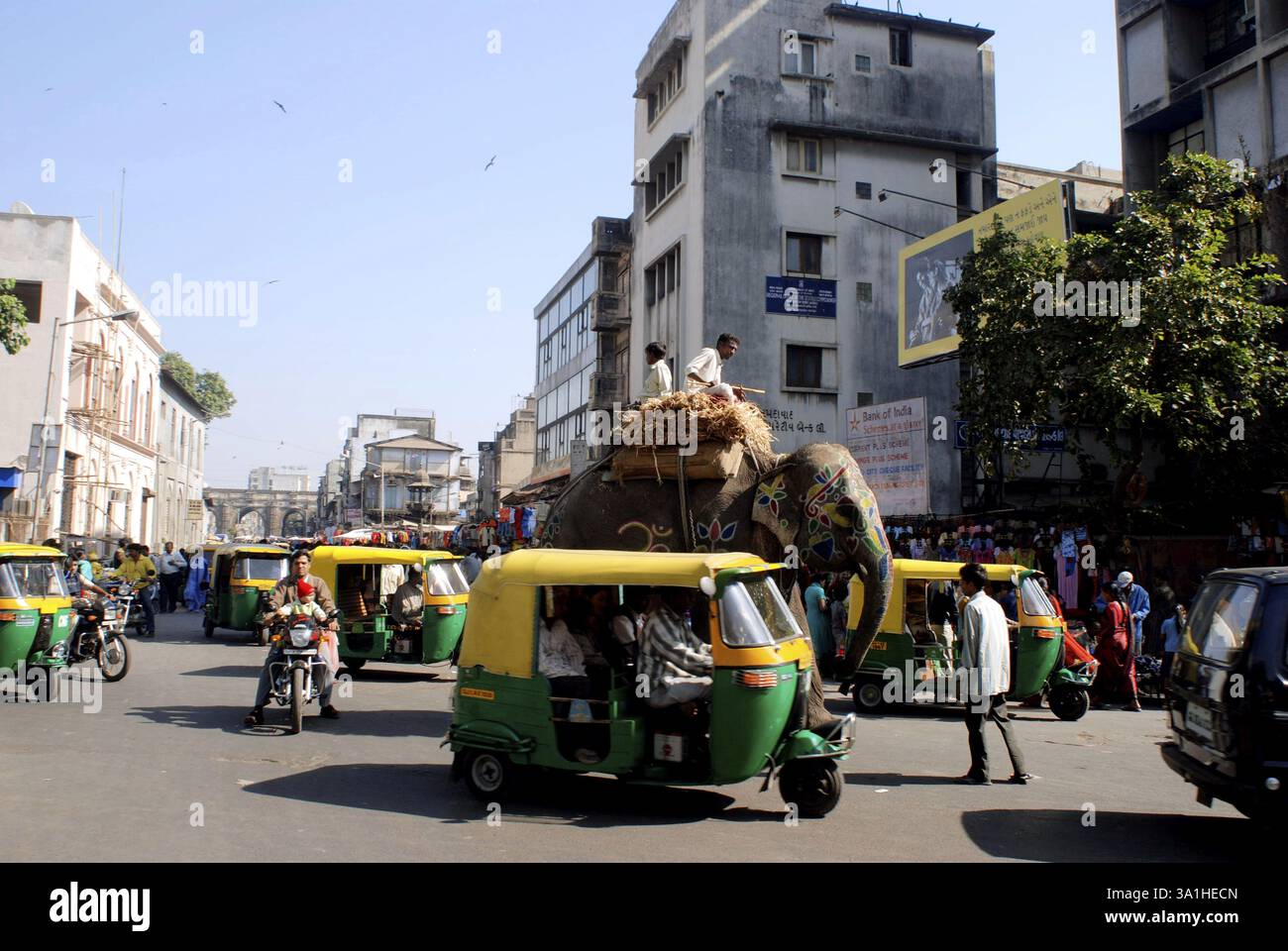 Elefante tra il traffico a Lal Darwaja, Ahmedabad, Gujarat, India, Asia Foto Stock