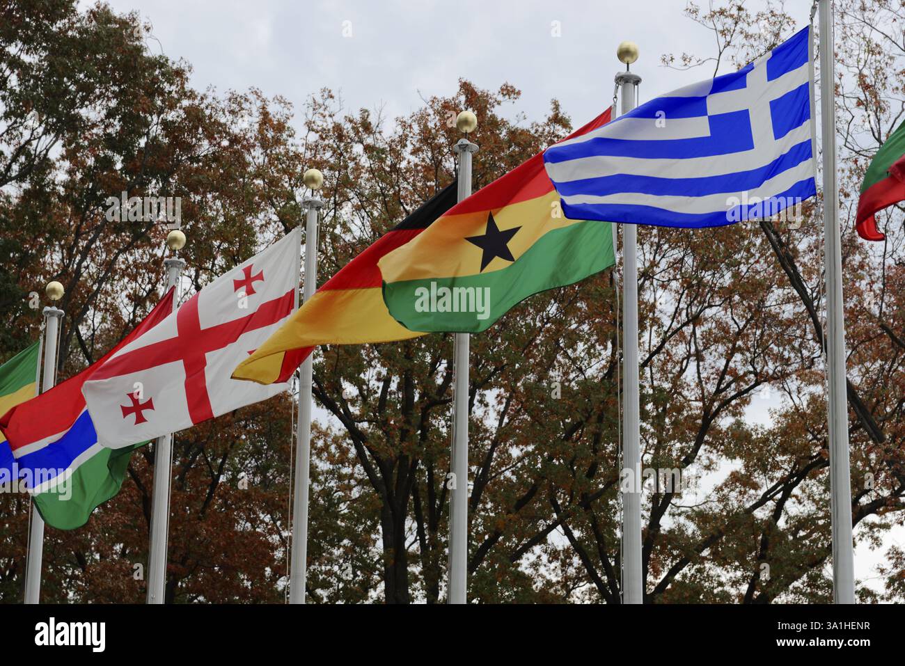 Sede delle Nazioni Unite, East River, Manhattan, una via delle bandiere degli stati membri delle Nazioni Unite vicino a una strada, New York City, New York, USA, Foto Stock