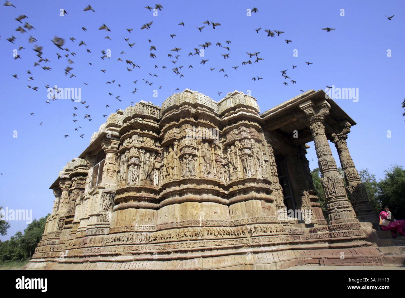I piccioni hanno voli sopra la cima del tempio del Sole di Modhera (1026 d.C.) situato a una distanza di 102 km da Ahmedabad sulla riva del fiume Push Foto Stock
