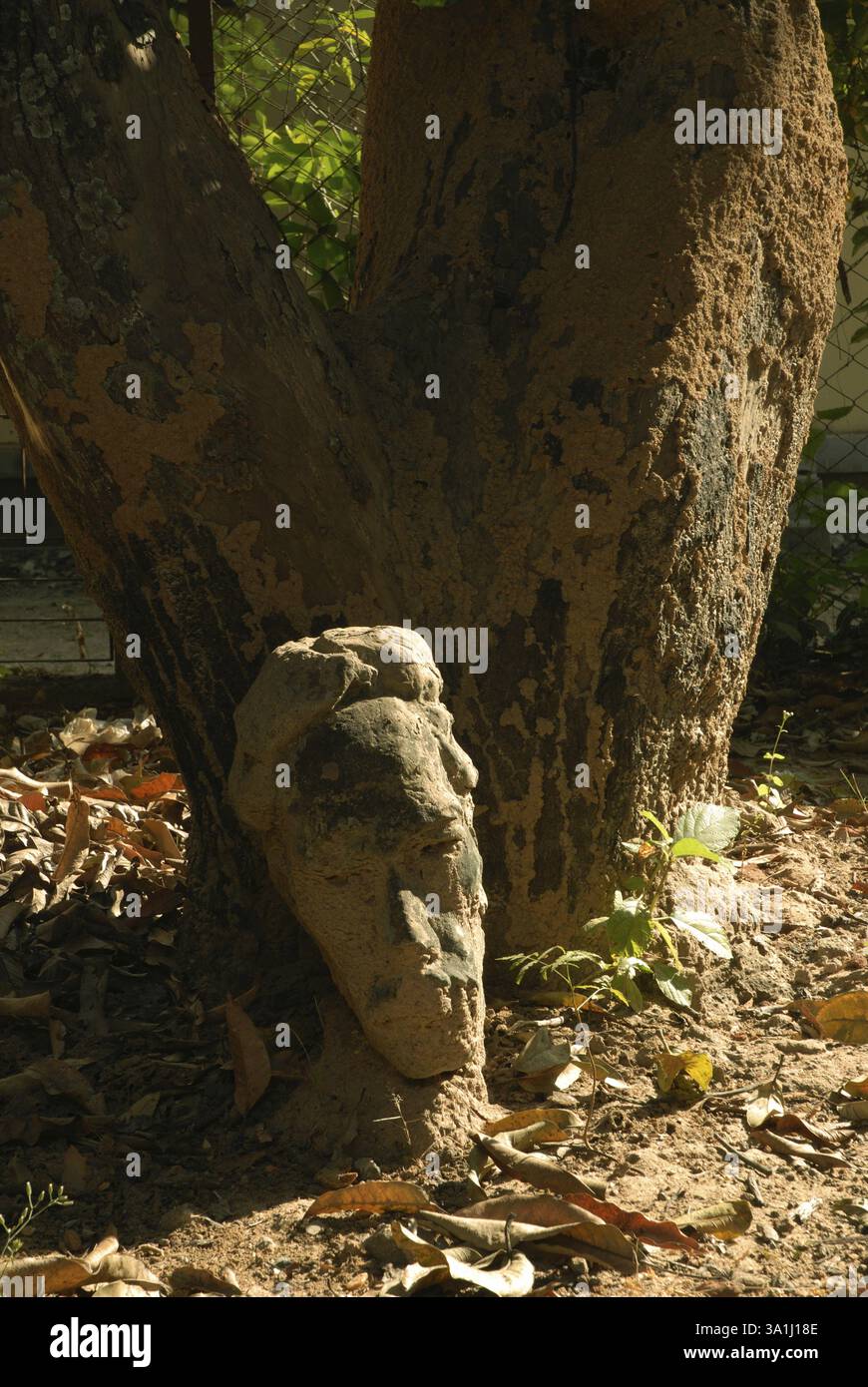 La scultura a tronco di albero Foto Stock