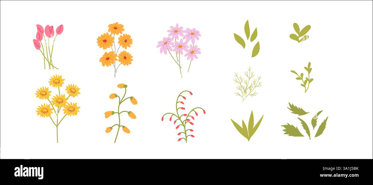 Colorate illustrazioni floreali con vari fiori e foglie. Illustrazione Vettoriale