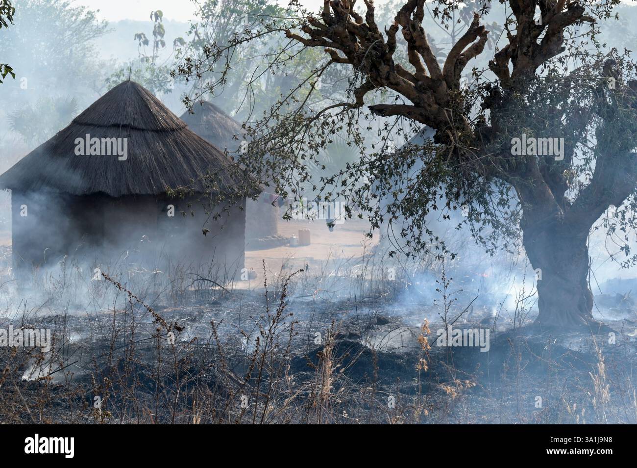 UGANDA, Adjumani, incendi boschivi, coltivazione di tagli e bruciature, a volte gli incendi sfuggono al controllo e si diffondono nei villaggi / Buschfeuer, Brandrodung, manchmal geraten die Feuer ausser Kontrolle und greifen auf Dörfer über Foto Stock