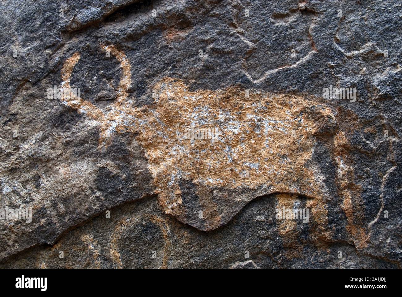 Dipinti rupestri pre-storici a Porivarai a Karikkiyoor, Nilgiris, Tamil Nadu, India, Asia Foto Stock