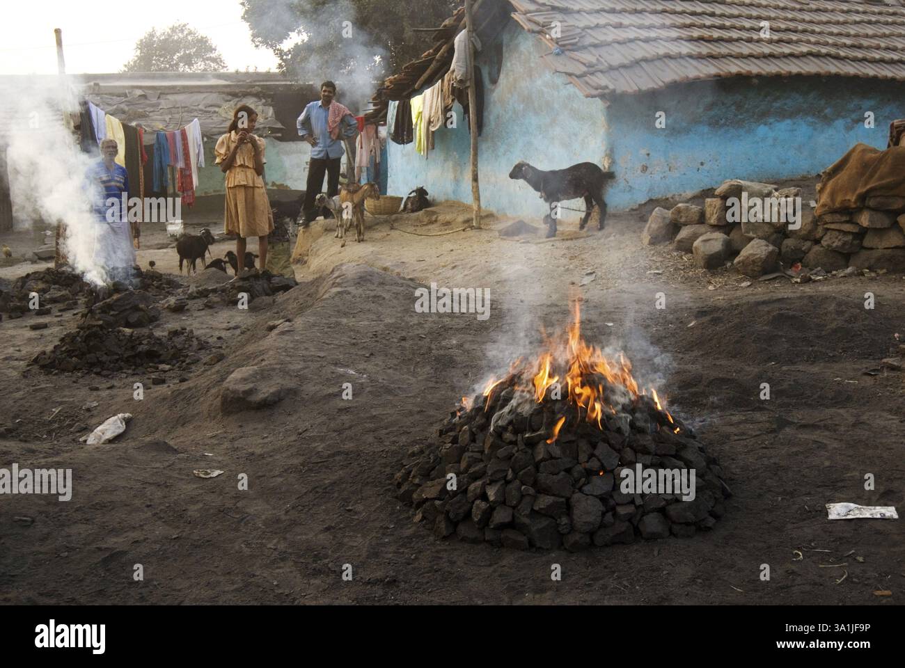 Carbone preparato per uso domestico Dhanbad, Jharkhand, India, Asia Foto Stock