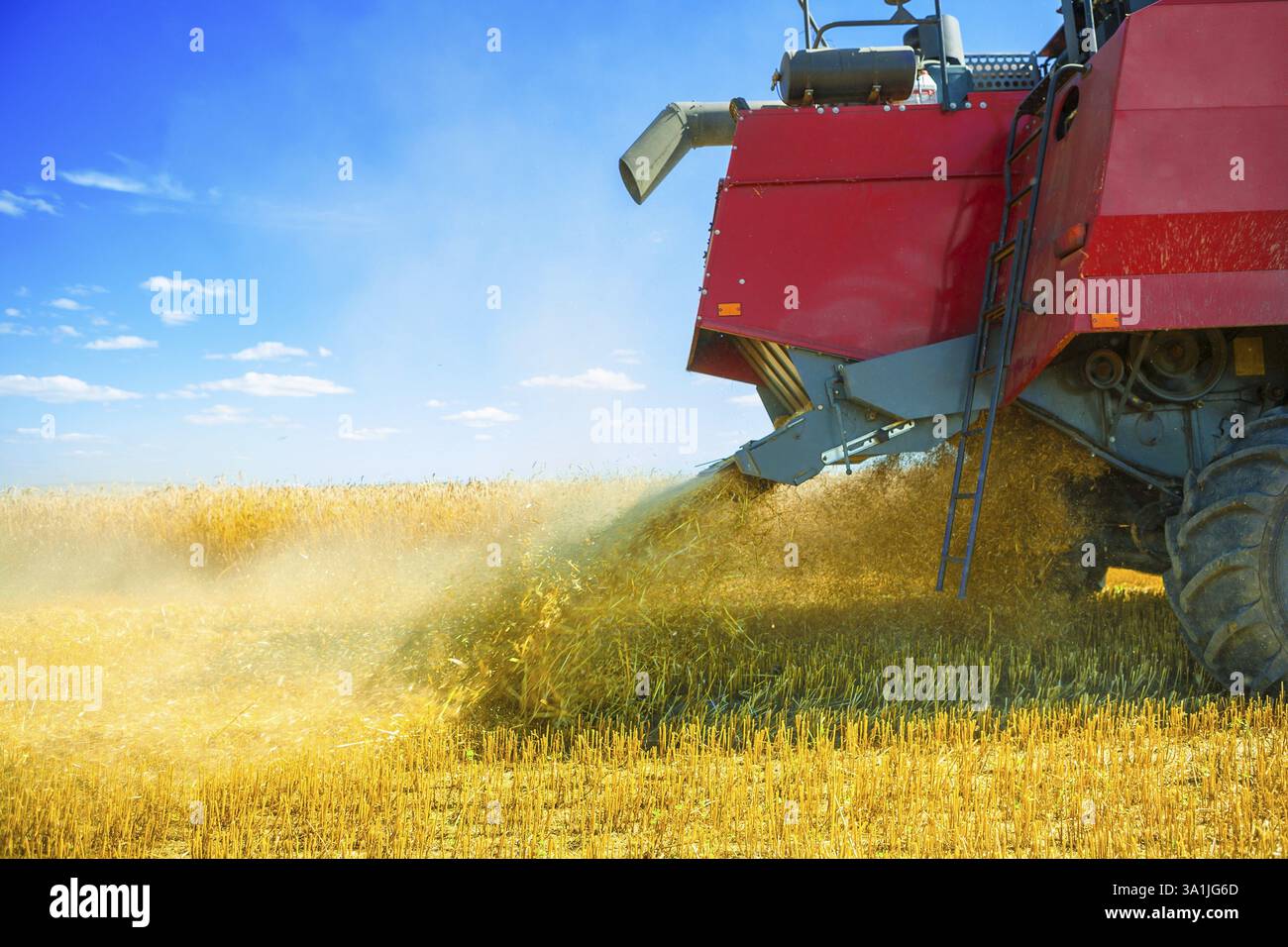 Macinazione di frumento durante la raccolta Foto Stock