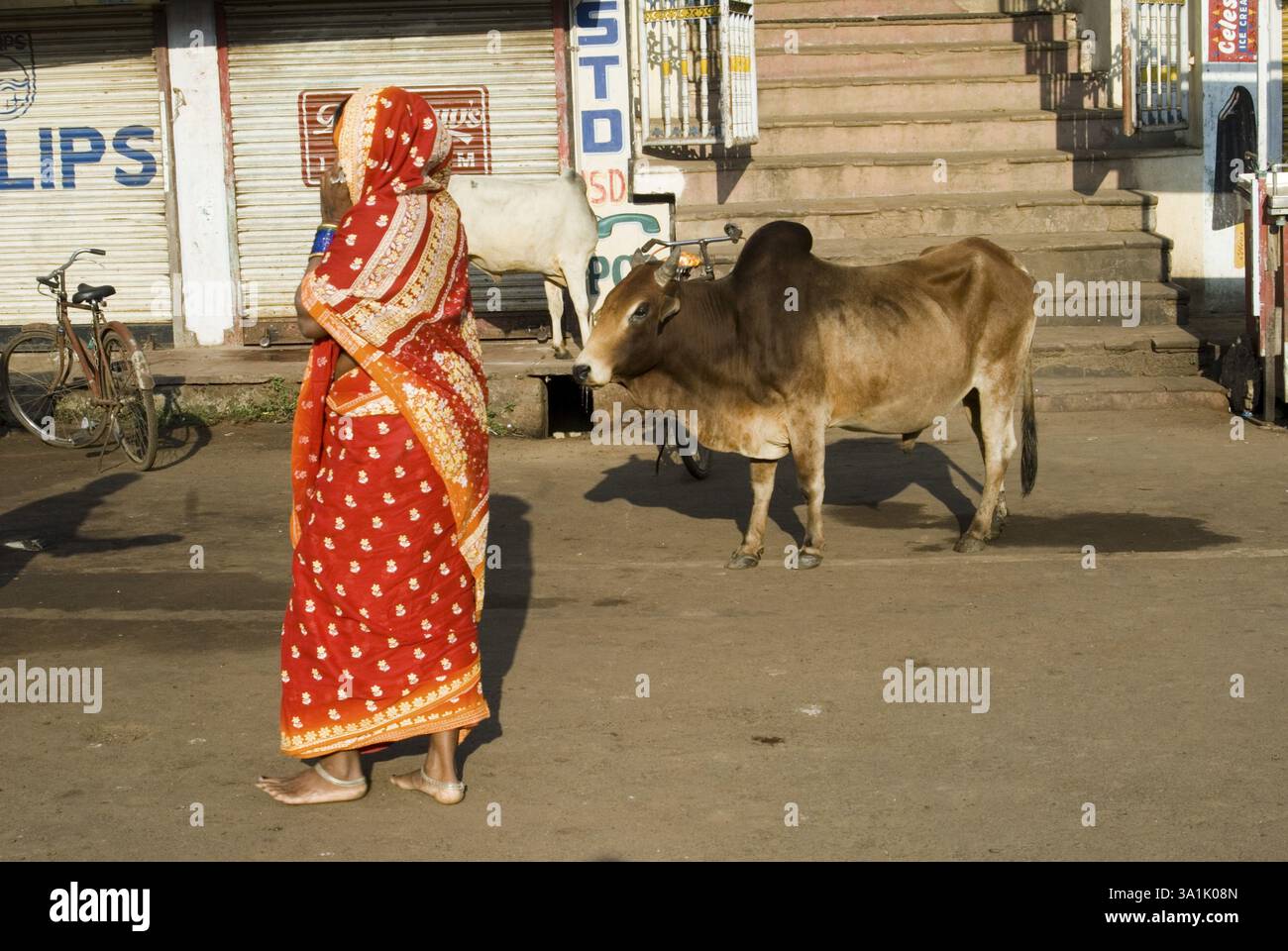 Bull aNAinted come santo visto qui a Puri, Orissa, India, Asia Foto Stock