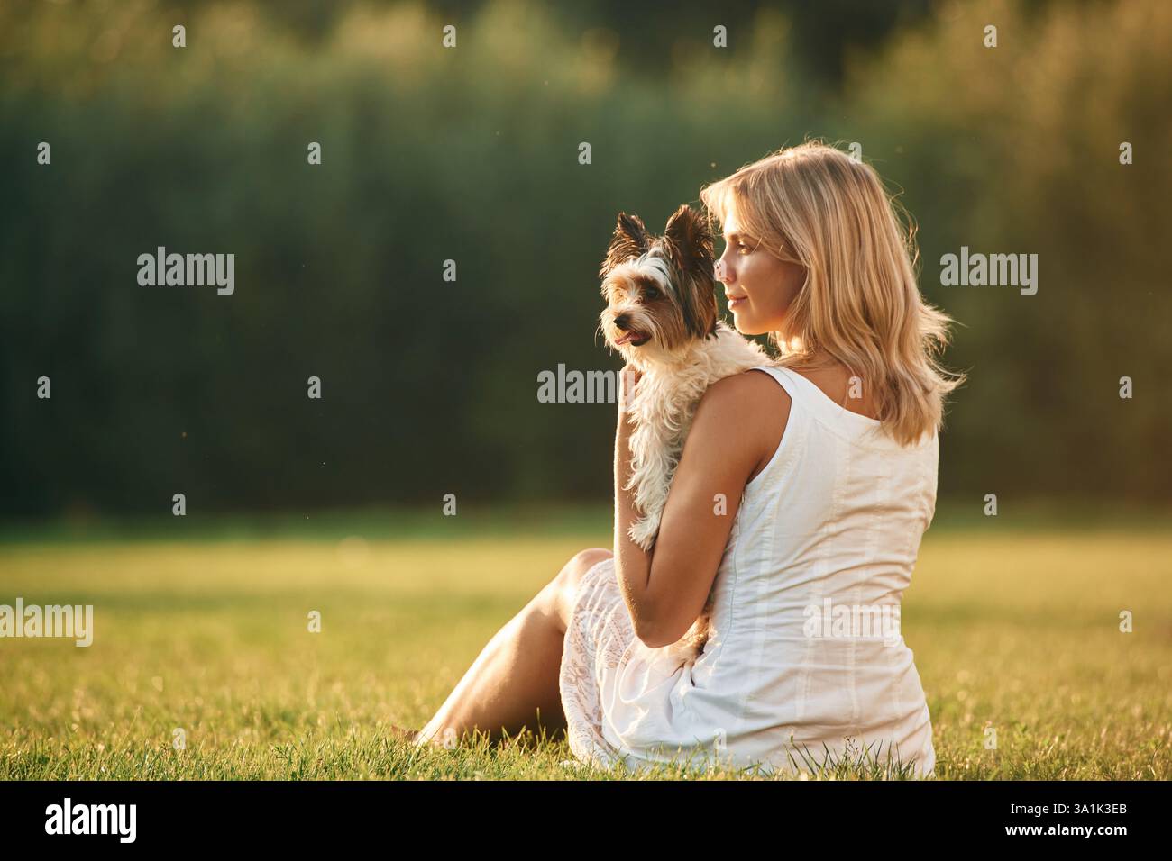 Vista posteriore. La bella donna è con il suo carino cane all'aperto sul campo. Foto Stock