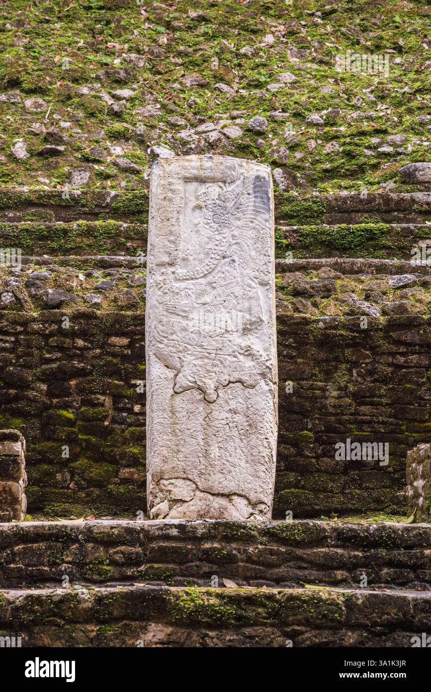 Una stele maya al sito archeologico maya di Lamanai, Belize, America centrale Foto Stock